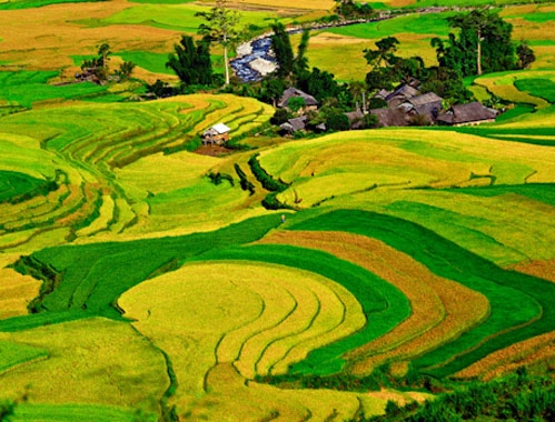canh1-9350-1397185519.jpg