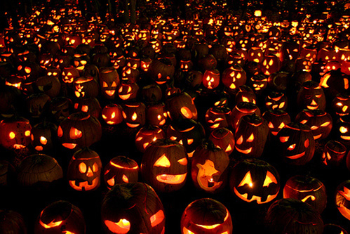 den-bi-ngo-halloween-su-trung-phat-giua-dem-khuya-lanh-gia-1
