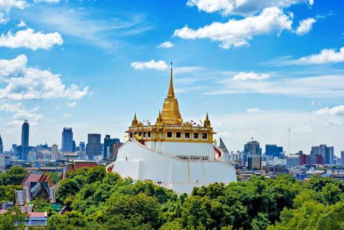 CÁ THỂ RÙA NÚI VÀNG QUÝ HIẾM ĐƯỢC PHÁT HIỆN TẠI KHU VỰC ĐỒI NÚI LÂM ĐỒNG