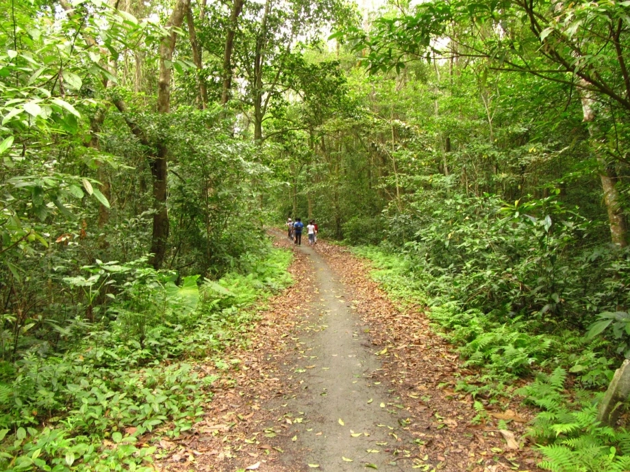 Cung đường trekking xuyên rừng ở Cát Bà - Báo VnExpress Du lịch