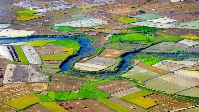 Ảnh: Nông Thế Hùng Lưu Minh Dân hinh6-1501056433-1200x0-6027-1531929317.