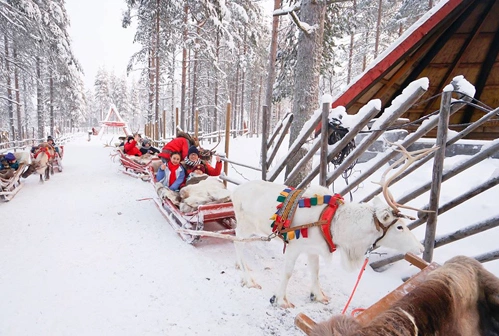 Giá tour tuần lộc là 29 euro đối với người lớn và 23 euro nếu là trẻ em.