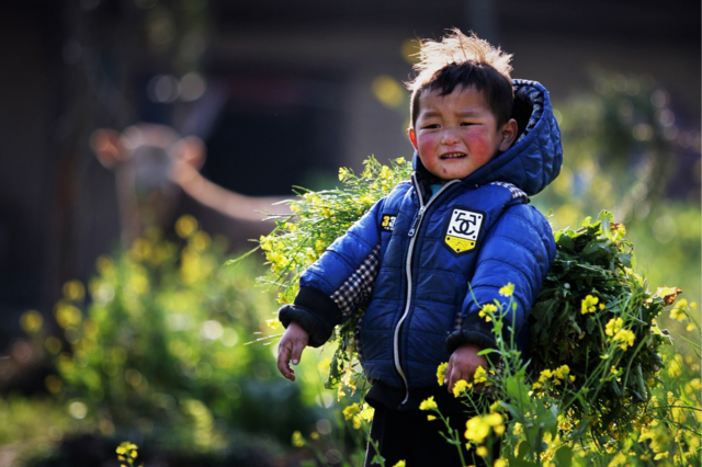 Ảnh: Nguyễn Hữu Thông. Thiet-ke-khong-ten-8-6250-1581502933.png