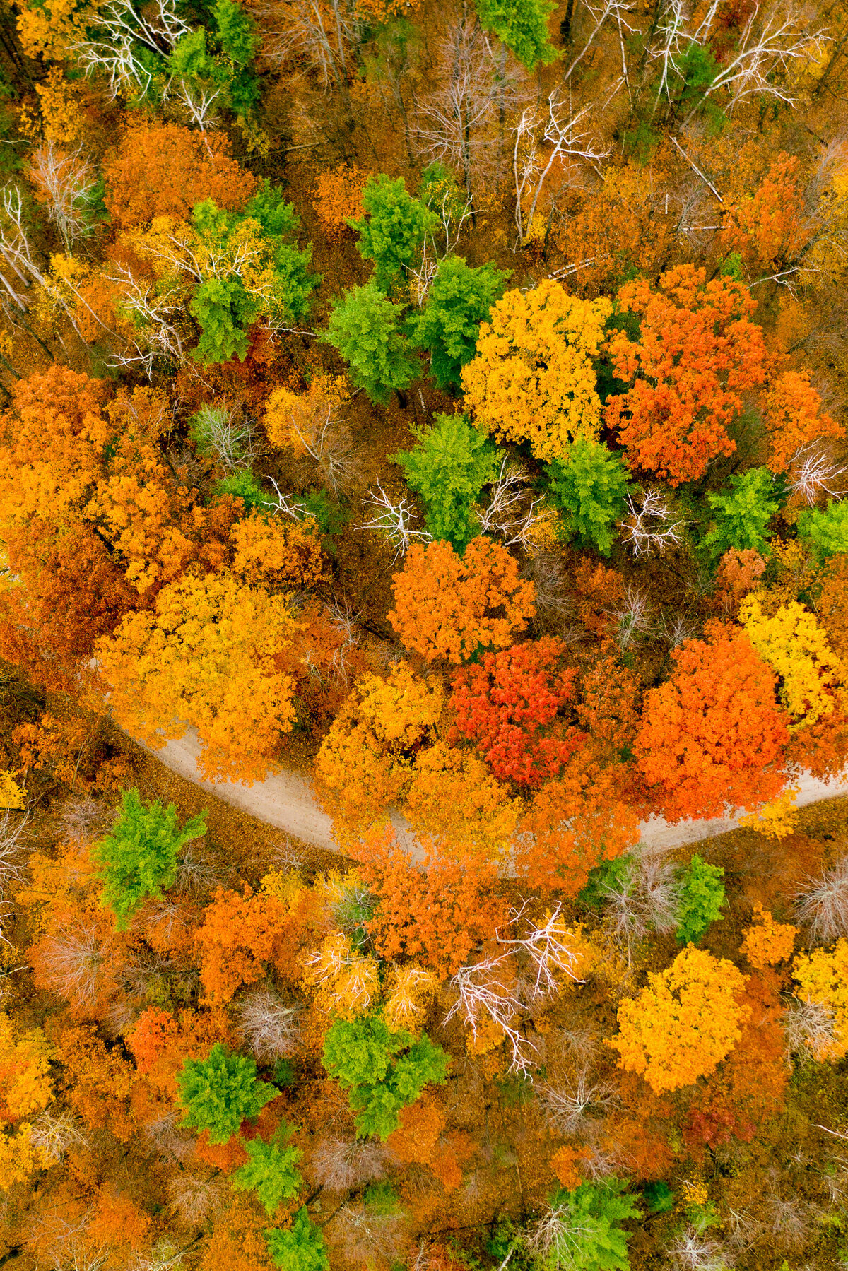 behold-vermont-from-above-1