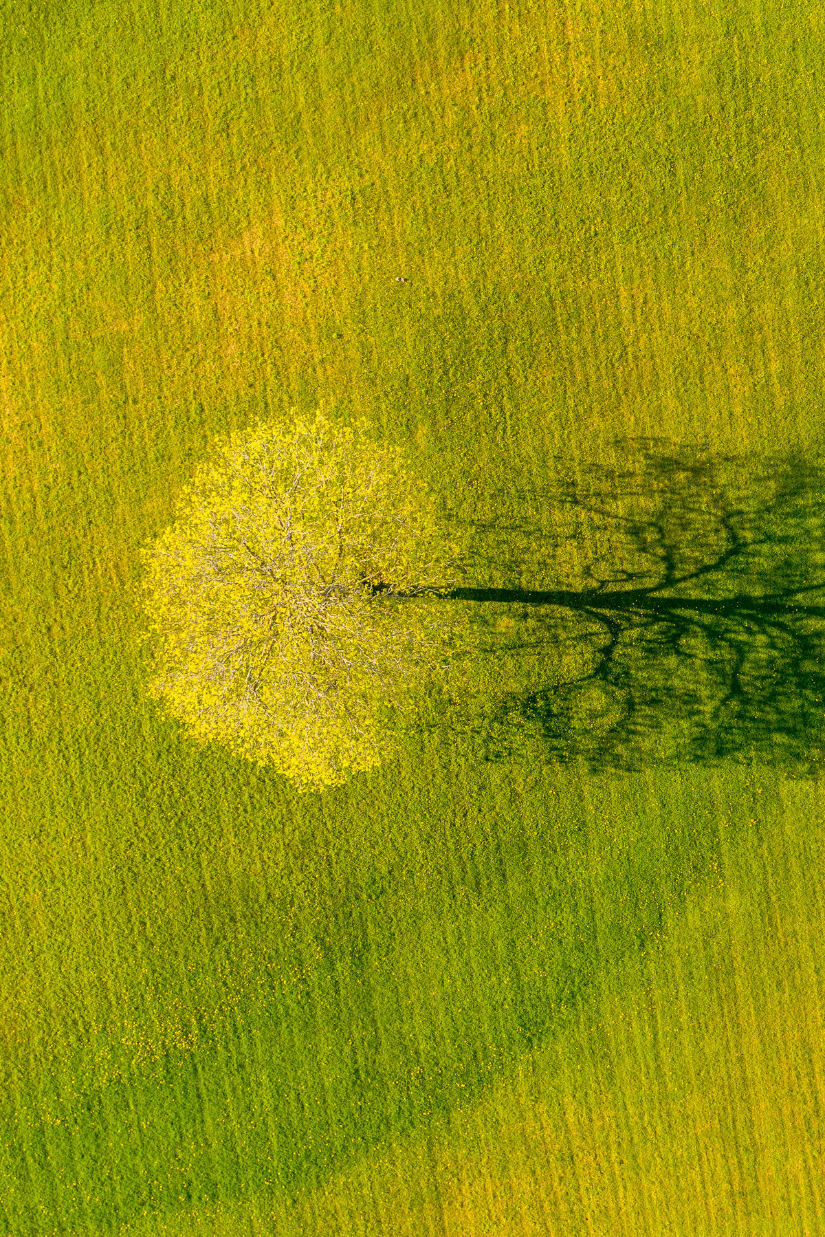 behold-vermont-from-above_1594877961