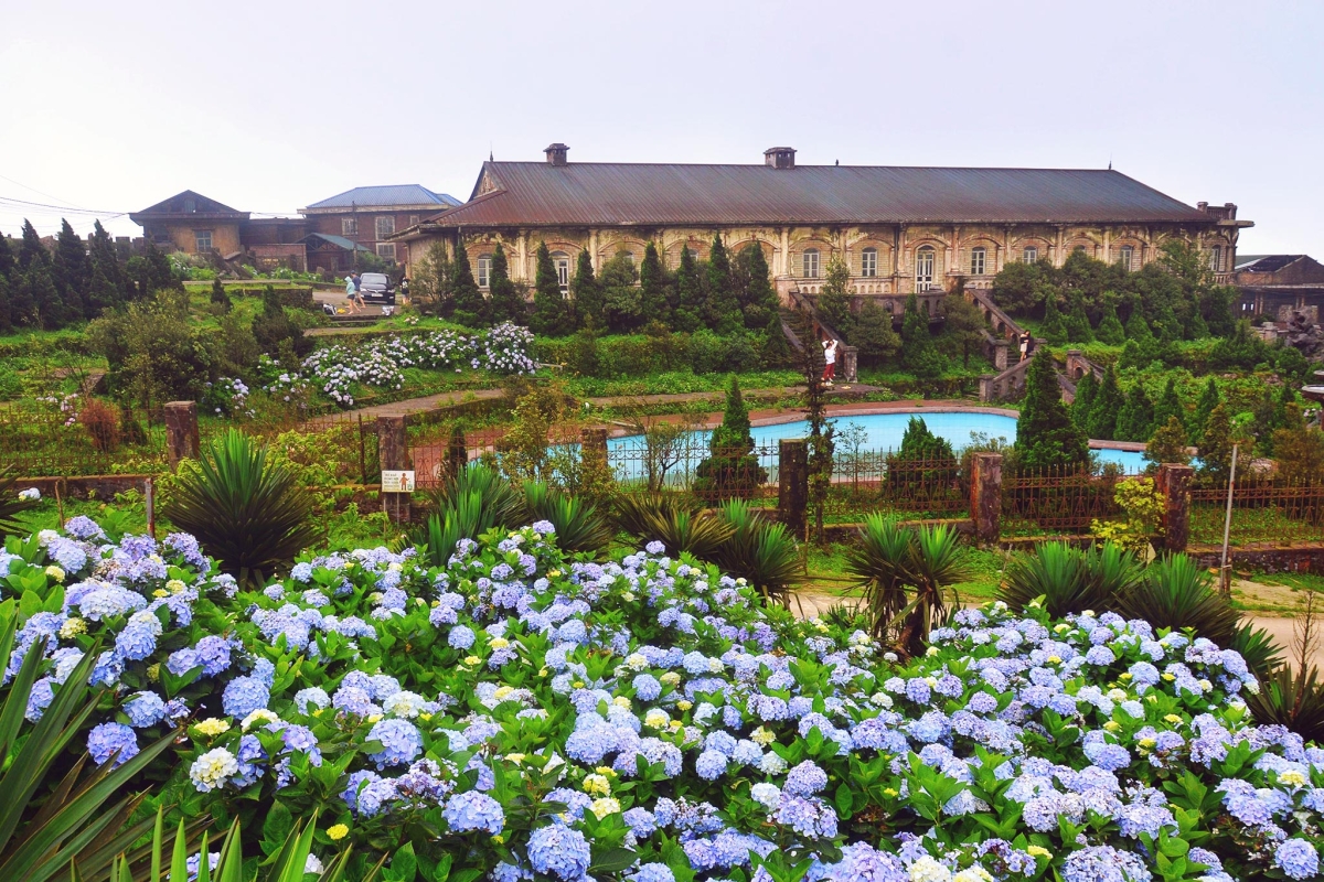 Thảm hoa cẩm tú cầu trên đỉnh Mẫu Sơn - VnExpress Du lịch