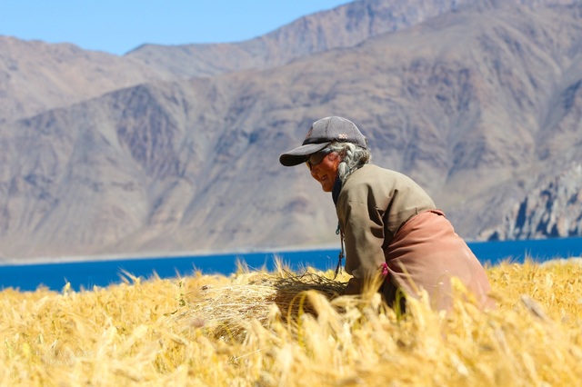 Ho-Pangong-7-5782-1633071718.jpg