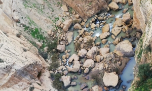 con-duong-tu-than-thach-thuc-du-khach-o-tay-ban-nha-4371777