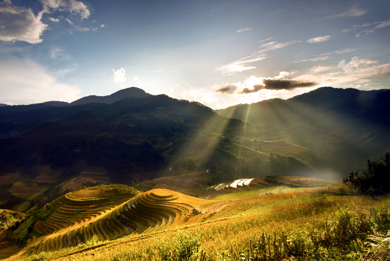 Terraced Rice Fields of Mu Cang Chai