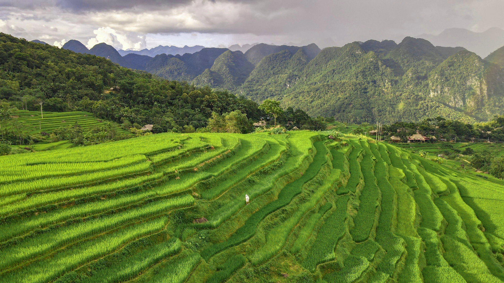 Pù Luông như thảm lụa xanh trải dài bát ngát