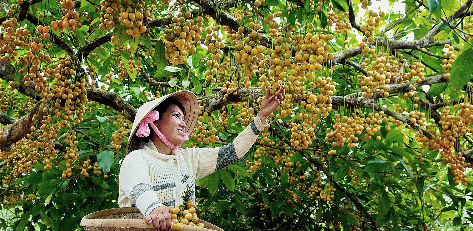 Cẩm nang du lịch cà mau 2022 top 11 địa điểm phải đến mới nhất