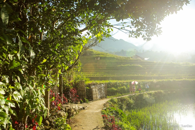 Bản Tả Van. Ảnh: Tuấn Đào Ta-Van-Sa-Pa-8466-1650277615.jpg