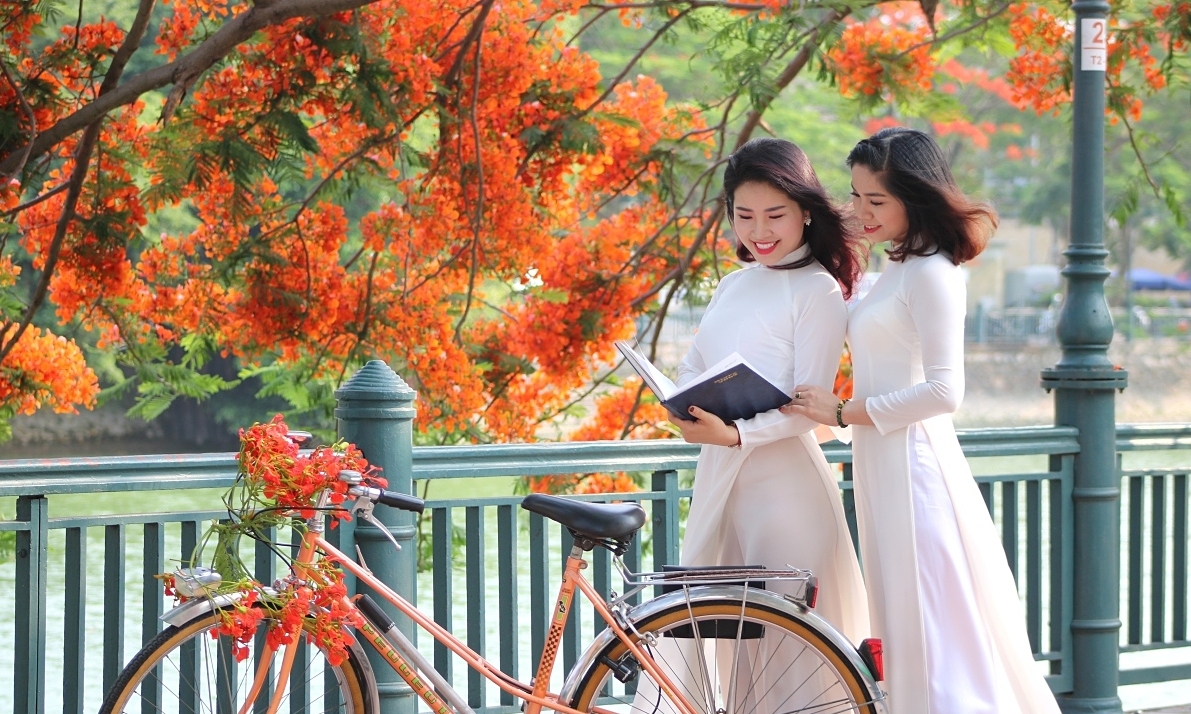 Hải Phòng 1 xe du lịch hải phòng