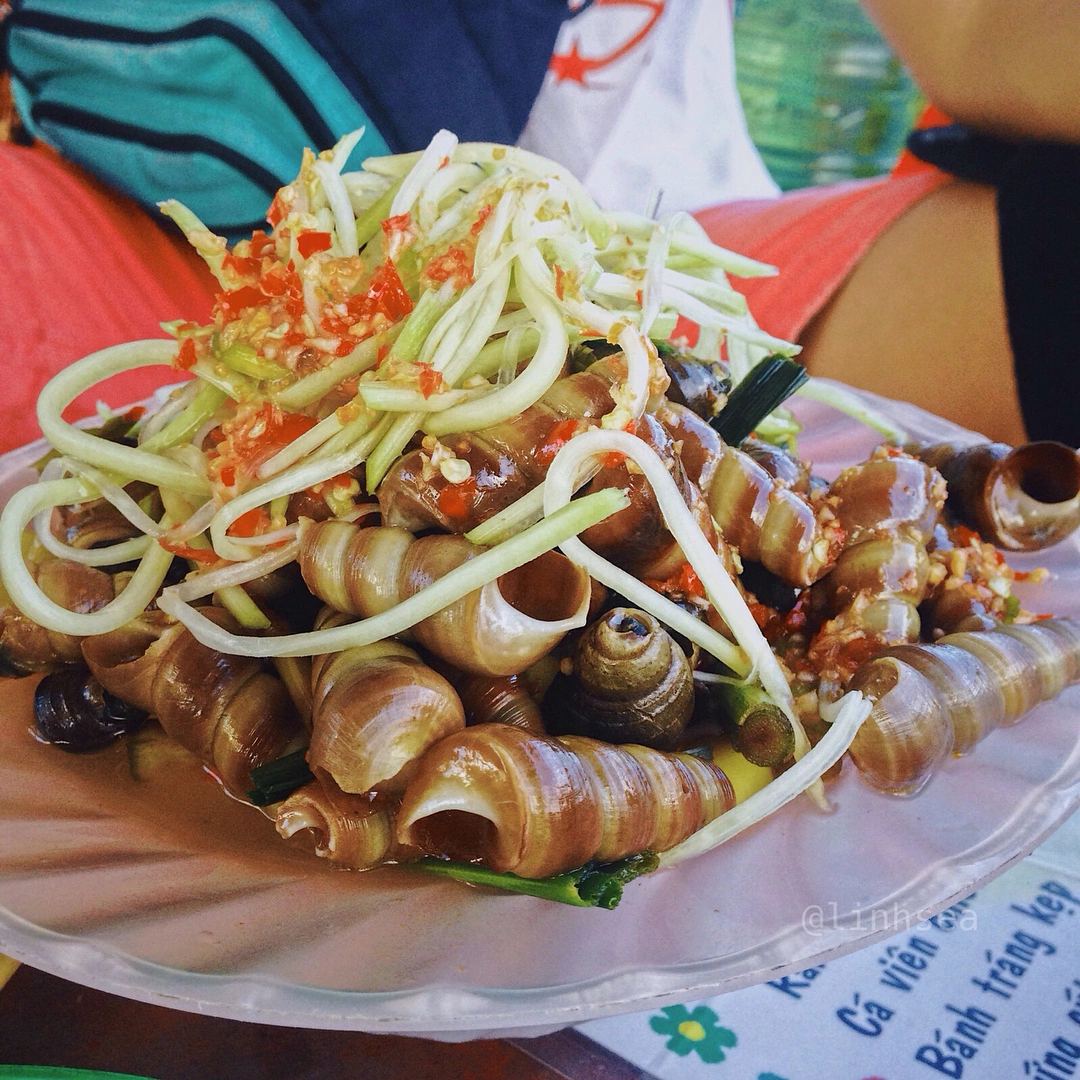 oc-hut-da-nang-6765-1654169675.jpg