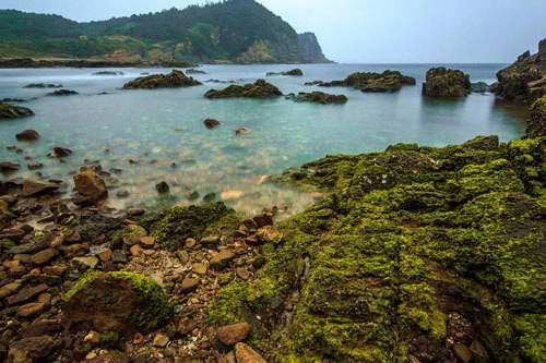 Ảnh: Nguyễn Đình Thành bai-mong-rong-6-3009-1655807498.jpg