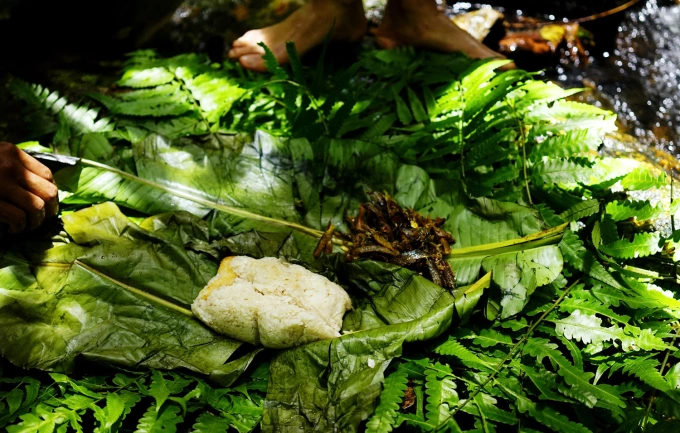 Bữa ăn giữa rừng.