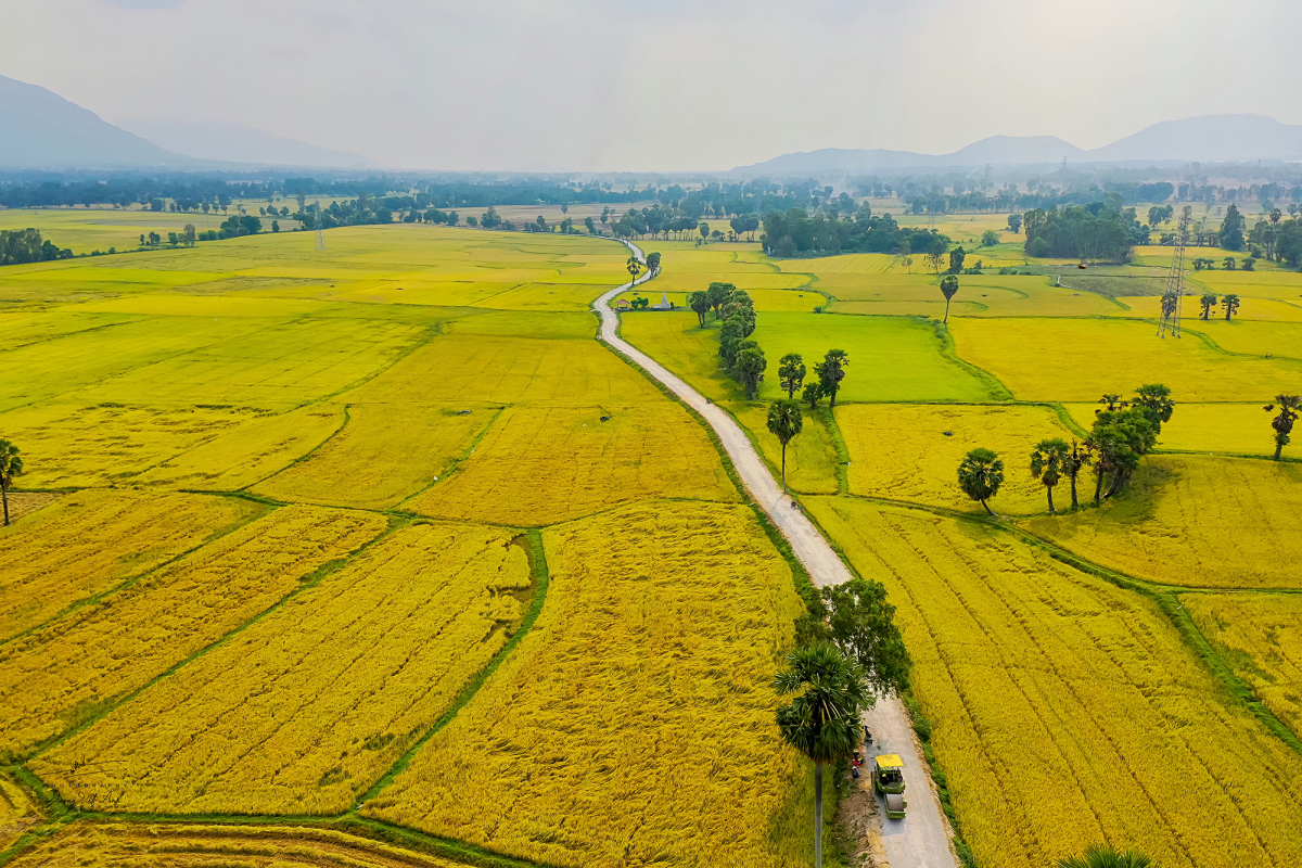 Bộ sưu tập hình ảnh cánh đồng quê cực chất, đầy đủ 4K, với hơn 999+ tấm hình.