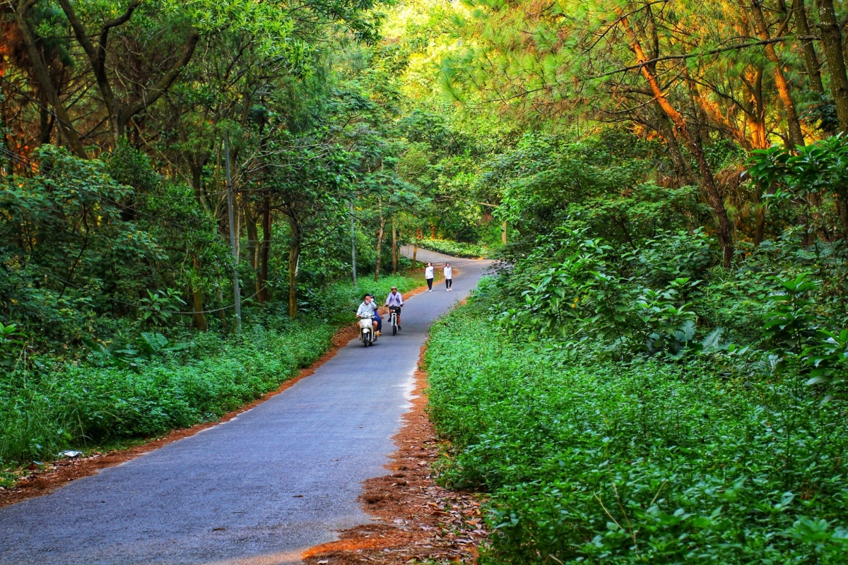 Mùa Thu ở Hải Phòng: Một Sắc Màu Tuyệt Vời | Én Vàng Taxi