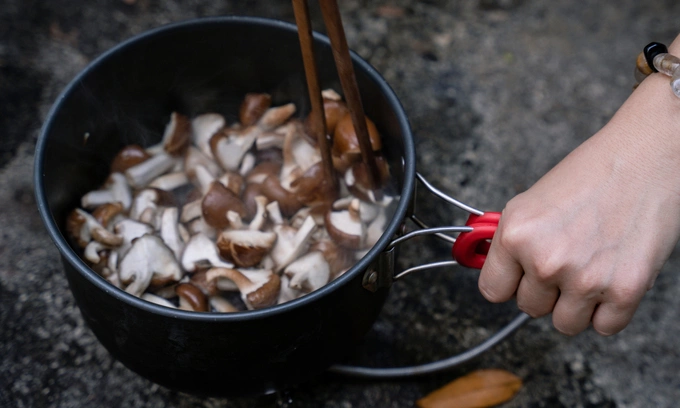 Shiitake mushrooms are often used as a daily food. Photo by VnExpress/Nguyen Anh Tien