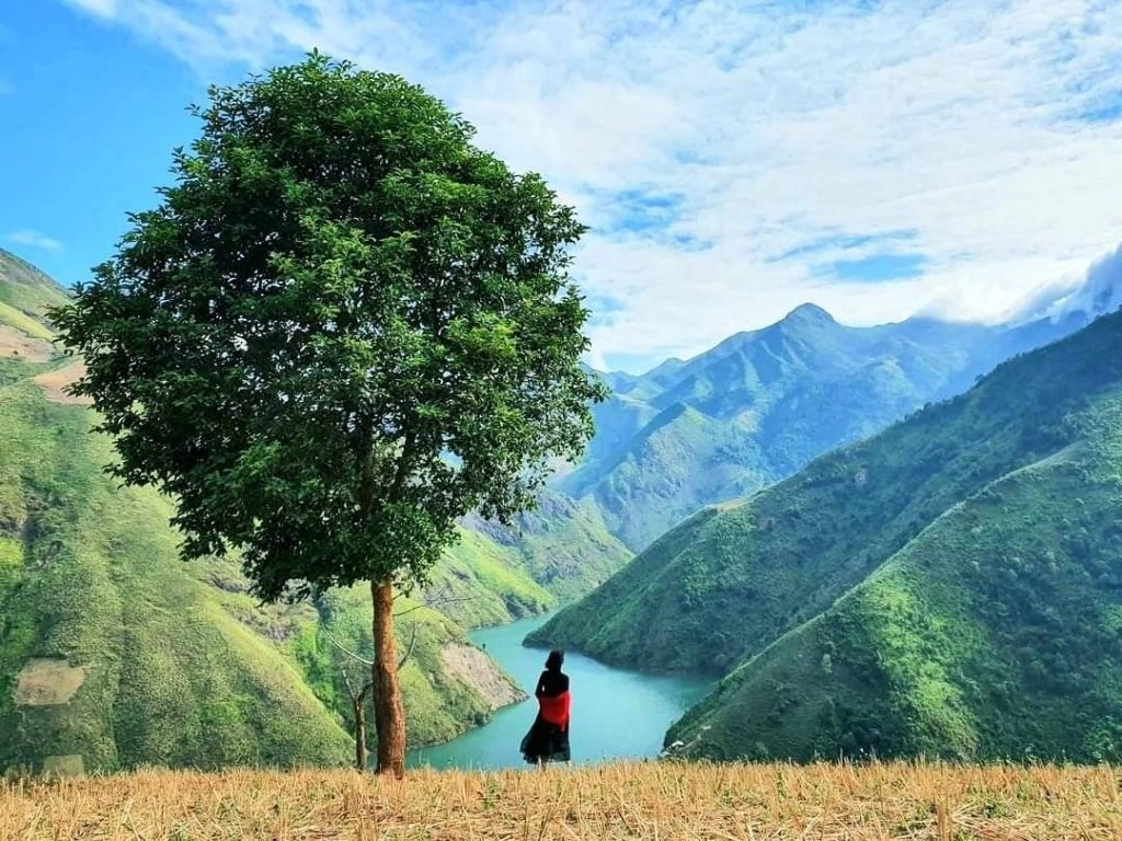 Cẩm nang Du lịch Tà Xùa 2024 từ A-Z: Di chuyển, ăn chơi, thăm quan ...