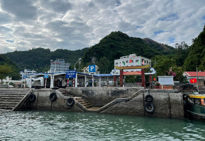 The backdrop behind Ben Beo Harbour is characterized by lush greenery. Photo by VnExpress/Tam Anh