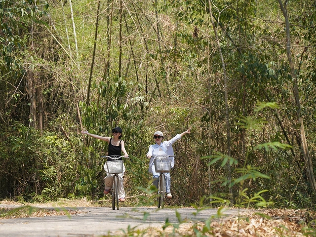 Cẩm nang Du lịch VQG Cát Tiên 2025: Di chuyển, các dịch vụ, tham quan, ăn uống... mới nhất