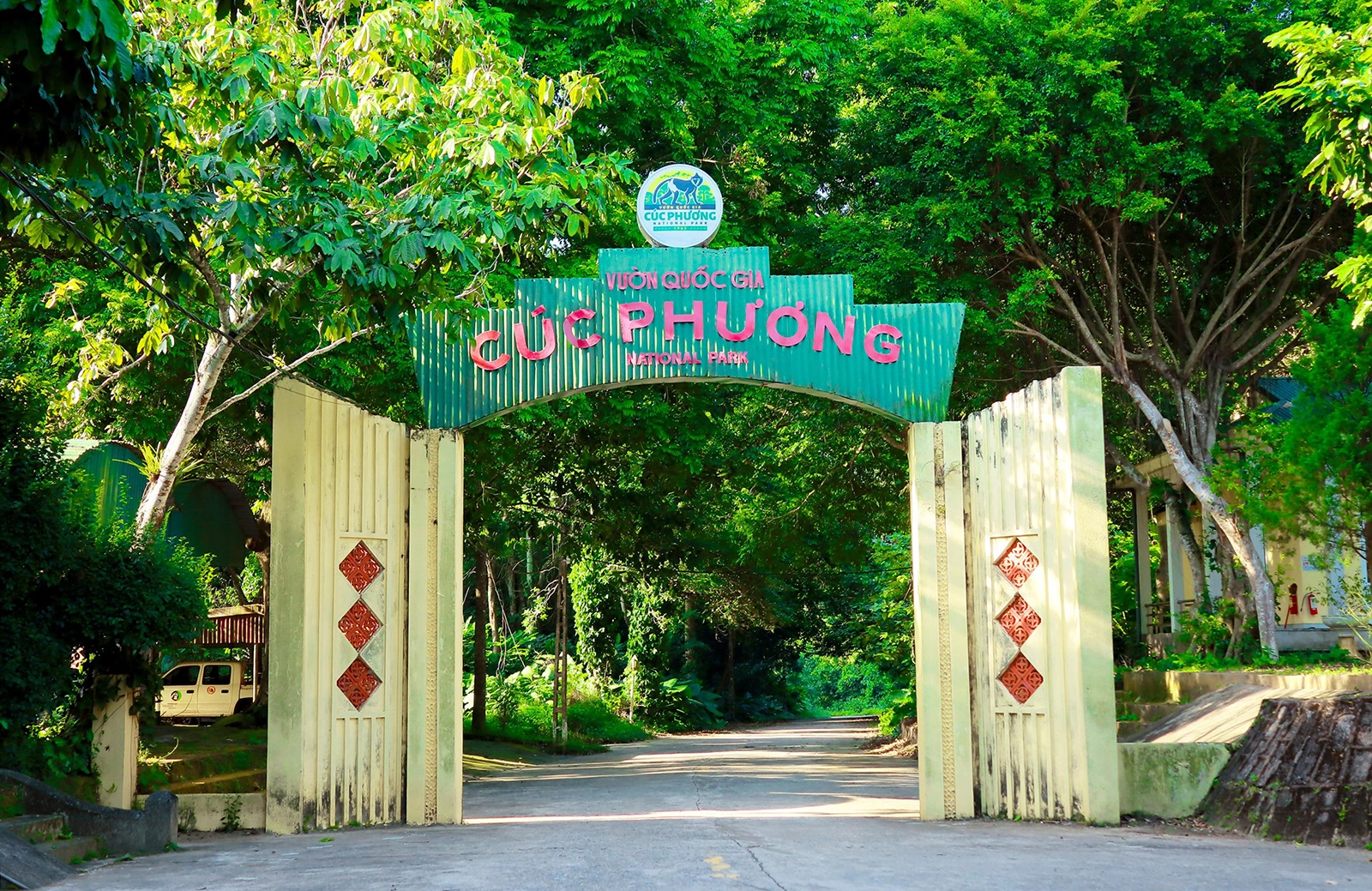 Cẩm nang Vườn Quốc gia Cúc Phương 2026 từ A-Z: Di chuyển, ăn chơi, thăm quan, đặc sản... mới nhất
