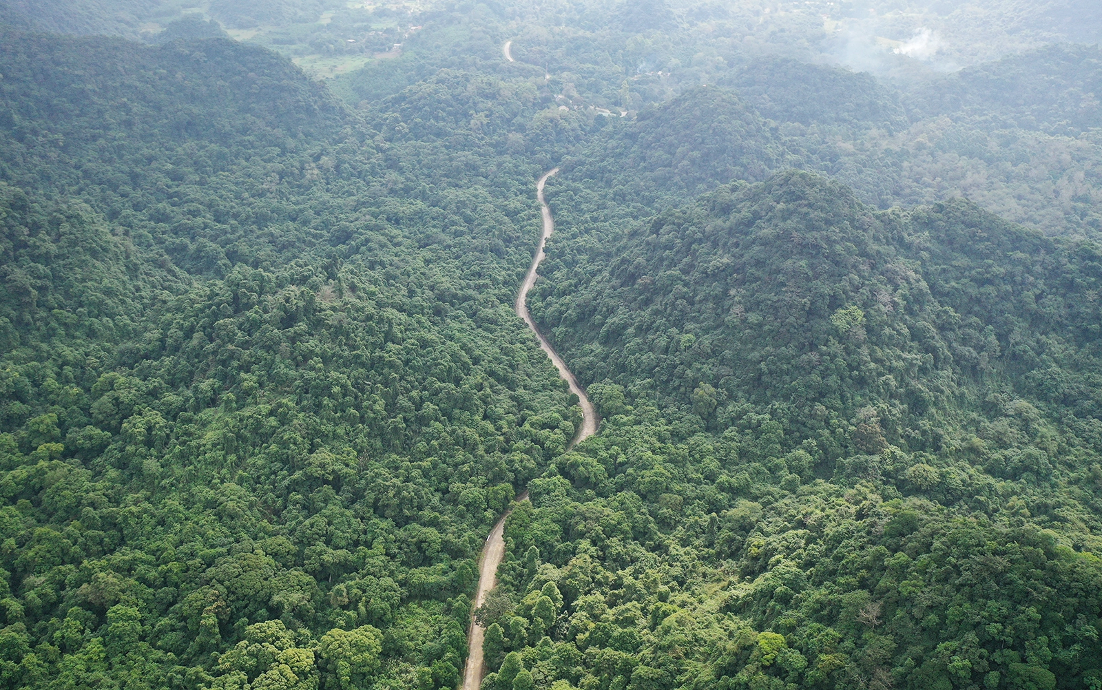 Khách Việt 'ướt sũng' 6 tiếng tại lễ hội té nước lớn nhất Thái Lan 1 Con đường chính dẫn vào trung tâm Vườn quốc gia Cúc Phương. Ảnh: Ngọc Thành