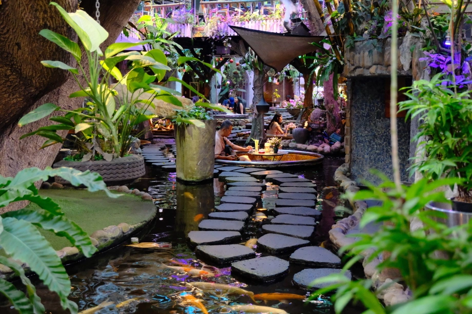 Top 10 địa chỉ cafe cá koi Đà Nẵng đẹp, không gian thư giãn và đồ uống đáng thử