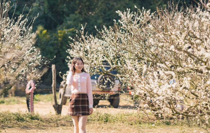 48 giờ ở Mộc Châu Du khách thăm vườn mận Mộc Châu ngày 15/1. Ảnh: Quang Kiên