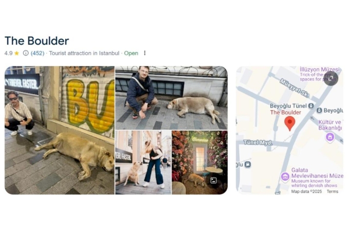 Google Maps hiển thị vị trí của chú chó với hơn 450 lượt đánh giá và xếp hạng trung bình 4,9 sao. Ảnh: Instagram/@theboulderistanbul.