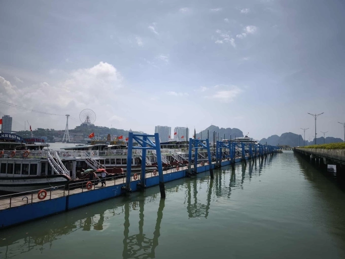 Cảng tàu khách quốc tế Hạ Long sáng 28/7. Ảnh: Lê Tân