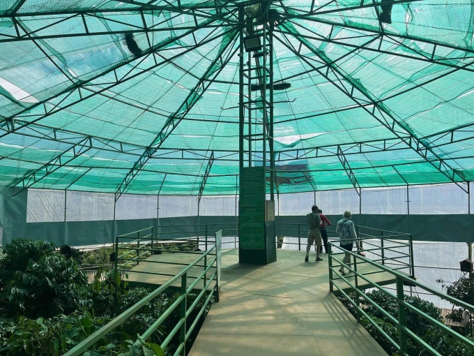 Khu nuôi chồn của quán. Ảnh: Mê Linh Coffee Garden