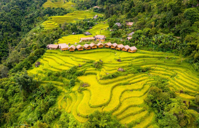5 homestay nằm giữa cánh đồng lúa Hoàng Su Phì