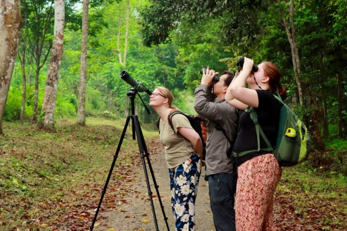 Du khách quan sát chim trong Vườn quốc gia Cúc Phương. Ảnh: Vietnam Tourism