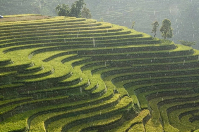 Trời mưa khi Linda tham gia photo tour ở Lai Châu hôm 27/9. Ảnh: NVCC