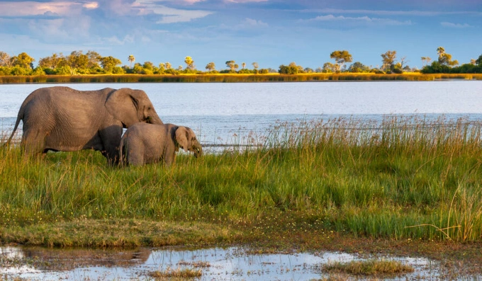 Đồng bằng Okavango ở phía Bắc Botswana. Ảnh: whc.unesco.org