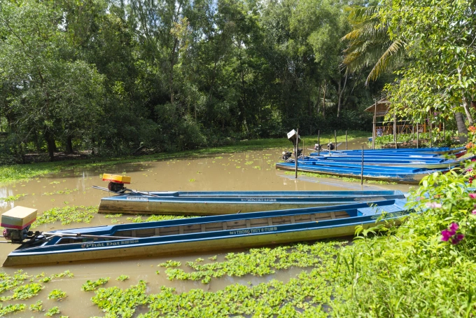 Vỏ lãi - phương tiện tham quan rừng tràm ngập mặn ở khu bảo tồn thiên nhiên Lung Ngọc Hoàng. Ảnh: Linh Huỳnh