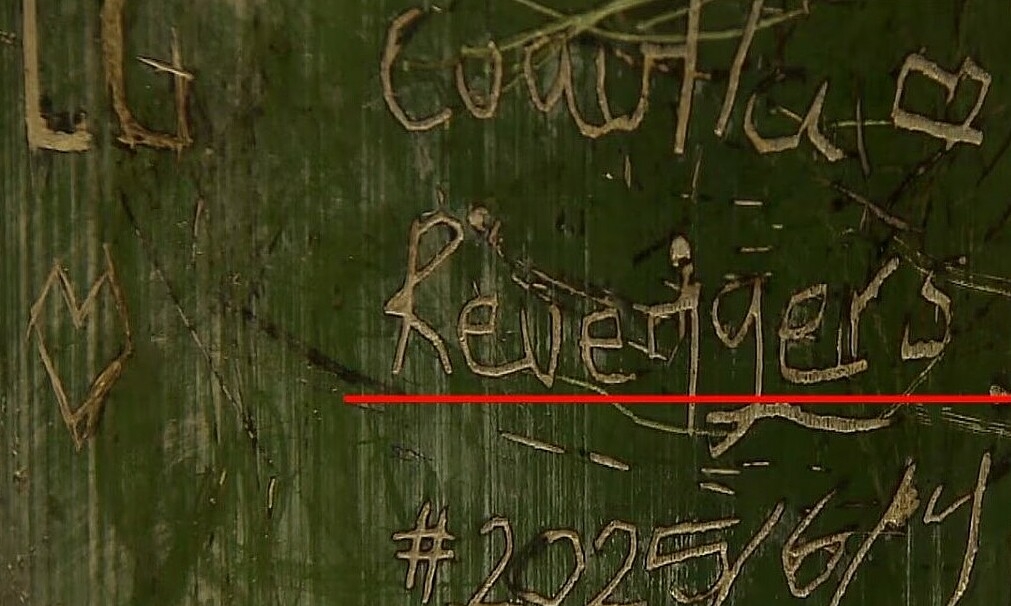 Rừng tre nổi tiếng Nhật Bản bị khắc chữ chi chít