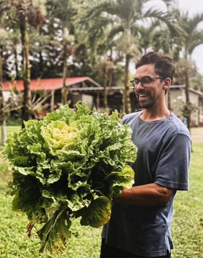 Du khách khi tham gia vào các chương trình du lịch tình nguyện, thường sẽ làm các công việc như hỗ trợ chủ nhà làm nông, thu hoạch rau củ tại các trang trại địa phương. Ảnh: Instagram/Woofusa
