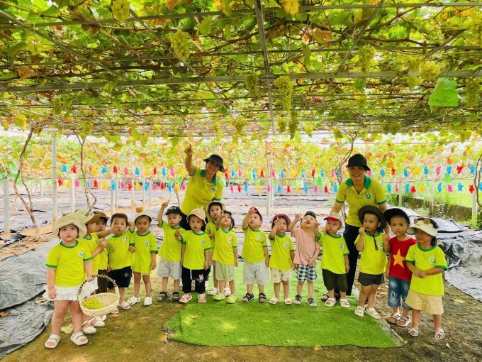 Nhiều trường mầm non tại địa phương tổ chức tham quan, trải nghiệm nông trại. Ảnh: Cả Tổ Farm