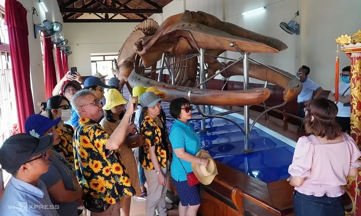 Bộ xương cá voi lớn nhất Đông Nam Á ở tỉnh nào?