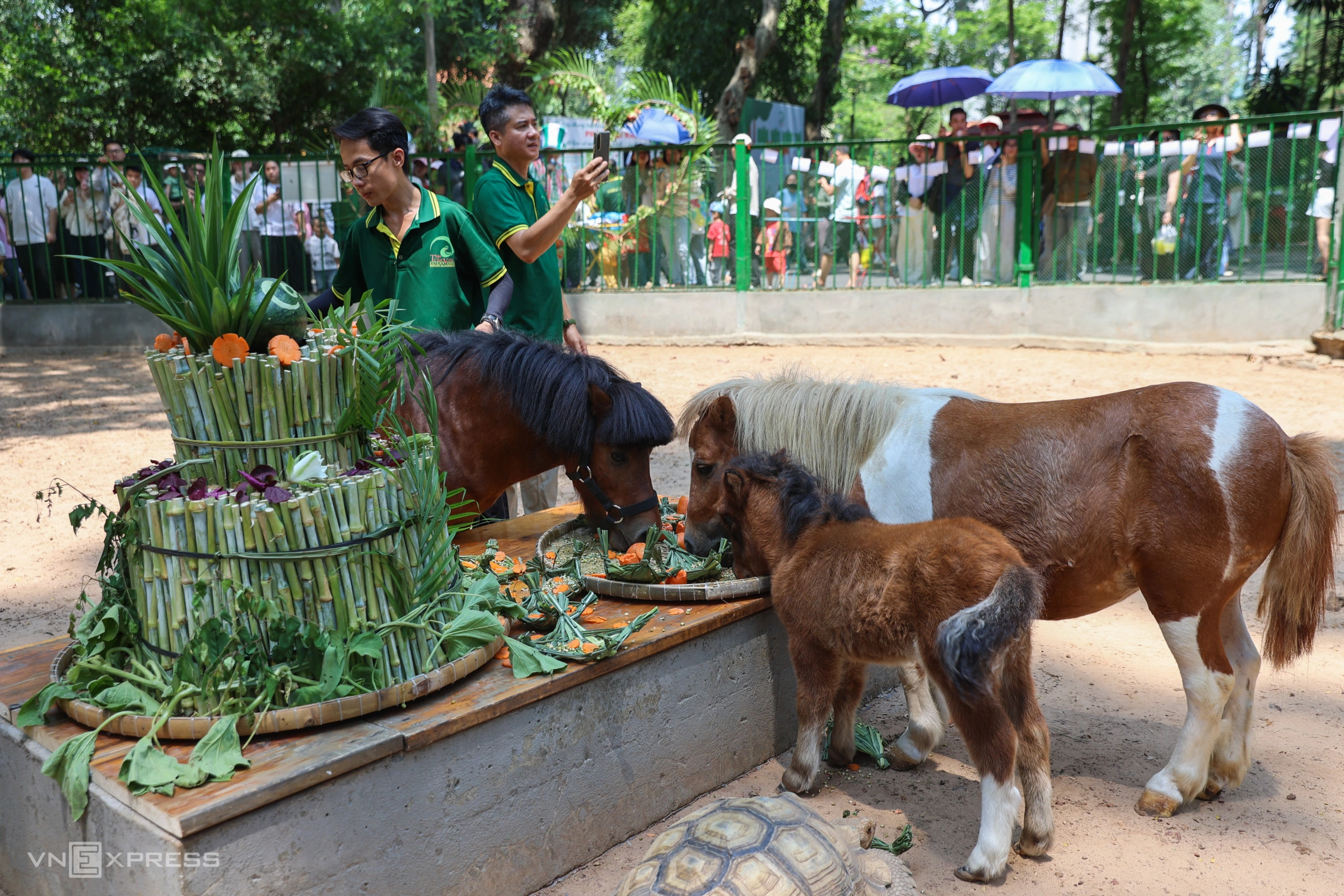 Khách đổ đến dự sinh nhật ngựa lùn ở Thảo Cầm Viên Sài Gòn