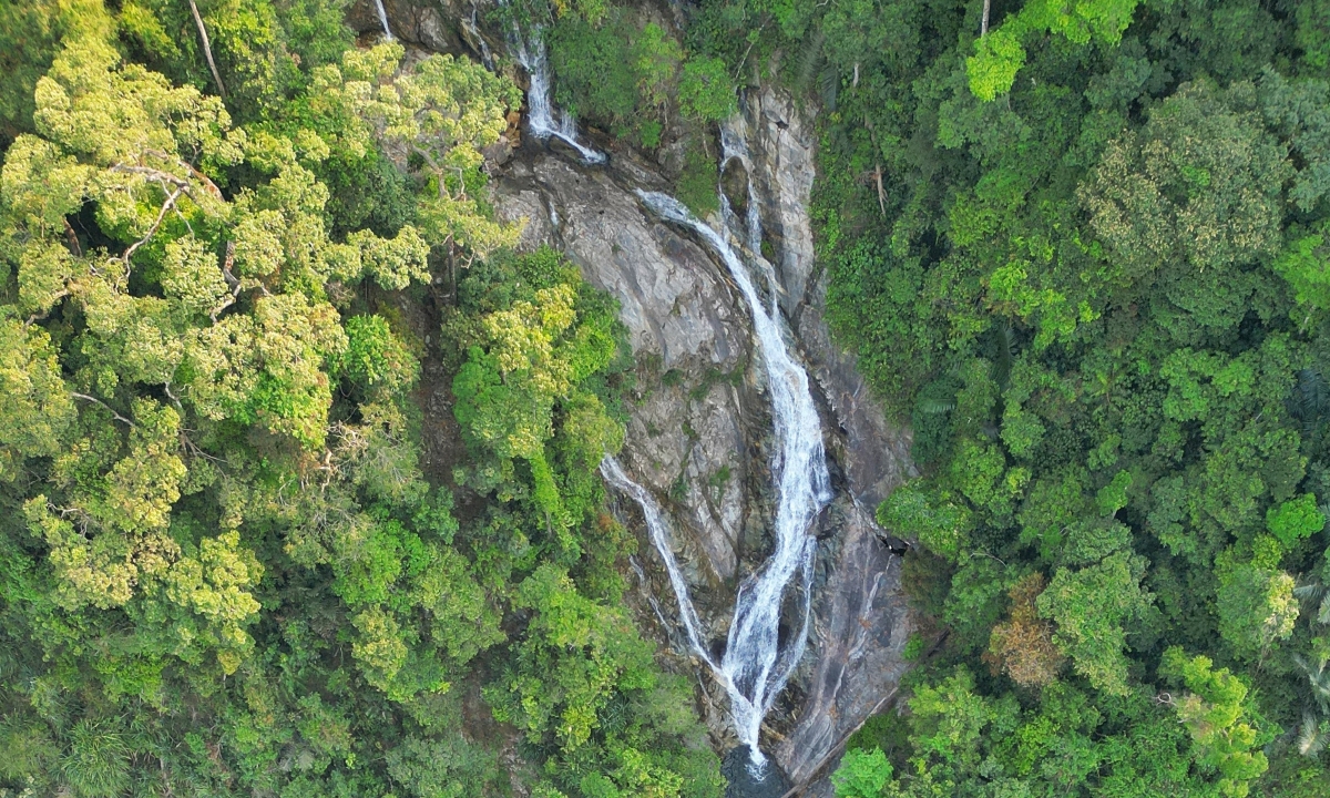 Ngắm thác Lụa cao nhất Quảng Ngãi giữa rừng phòng hộ