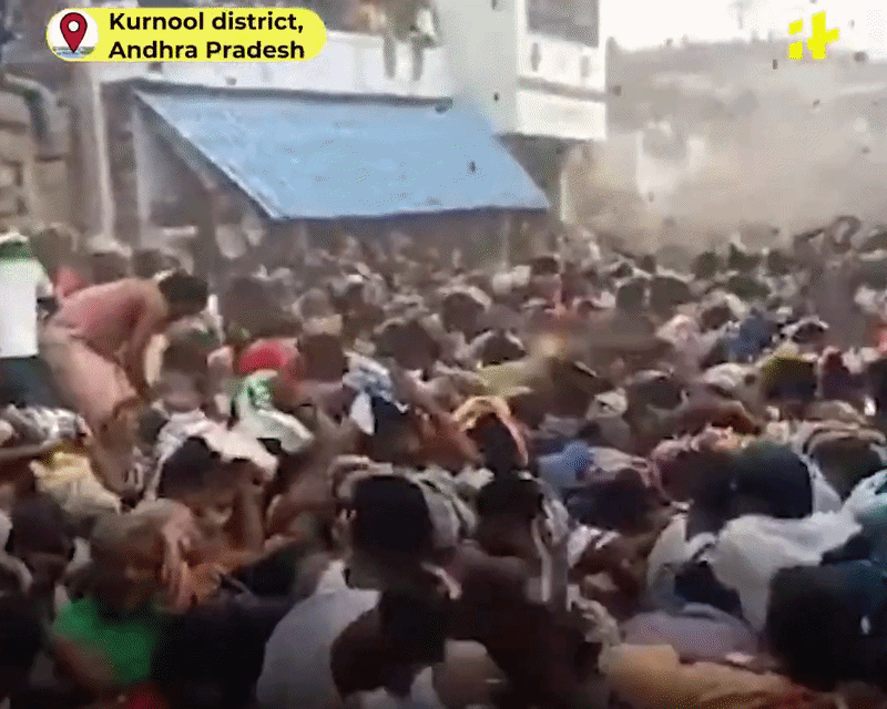 Ném phân bò vào nhau lấy may tại Ấn Độ