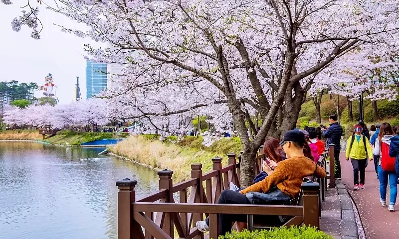 Các điều kiện giúp khách Việt xin visa Hàn 10 năm 관련 이미지