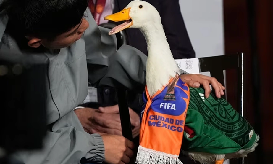 Vịt 'tiên tri' ở thủ đô Mexico City bị FIFA cấm vào sân xem World Cup