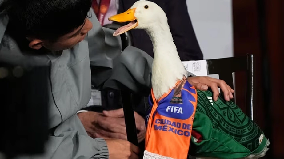 Mexico City 'psychic' duck banned from World Cup stadium by FIFA - VnExpress