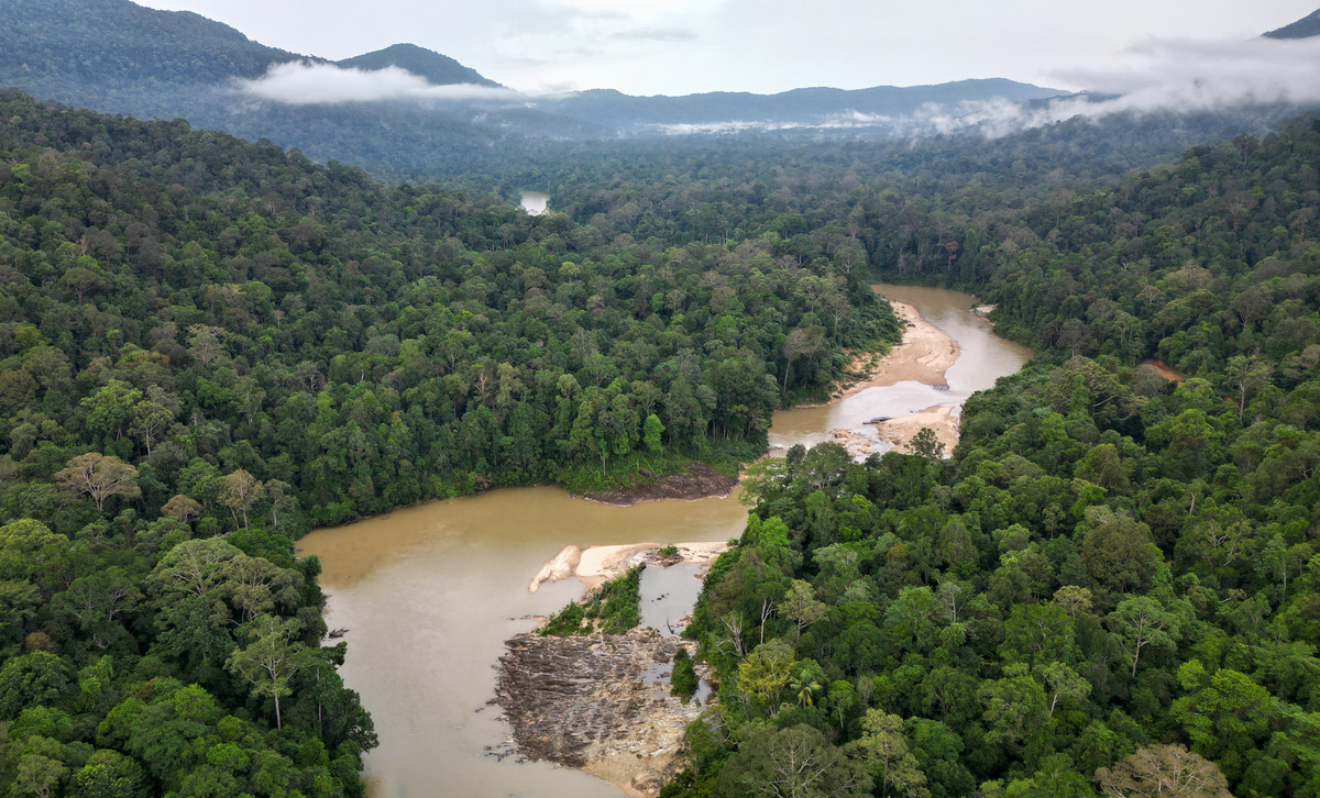Khám phá rừng mưa nhiệt đới lâu đời ở Malaysia