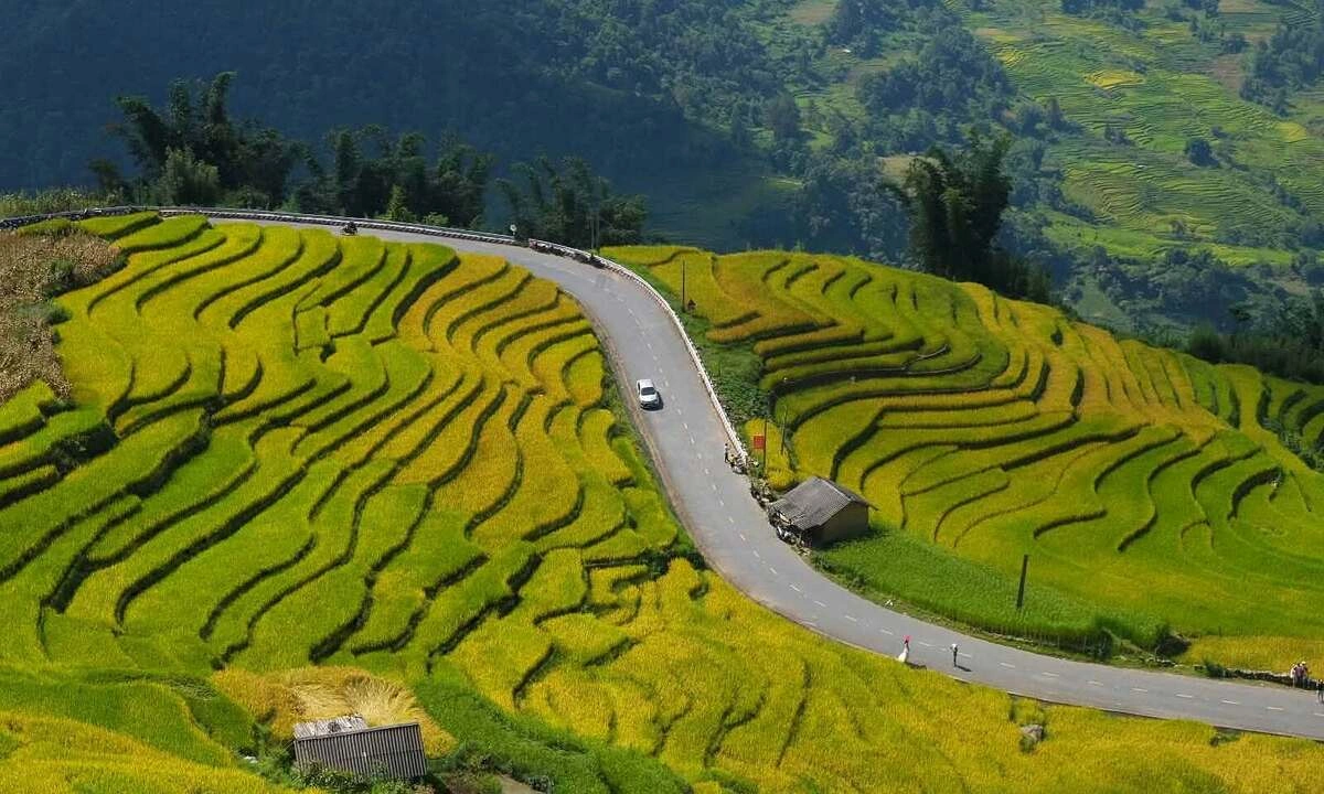 Cung đường chữ S ở Y Tý